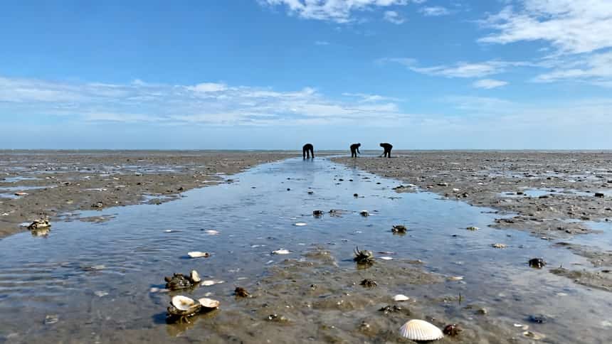 露营赶海徒步钓鱼高速连接